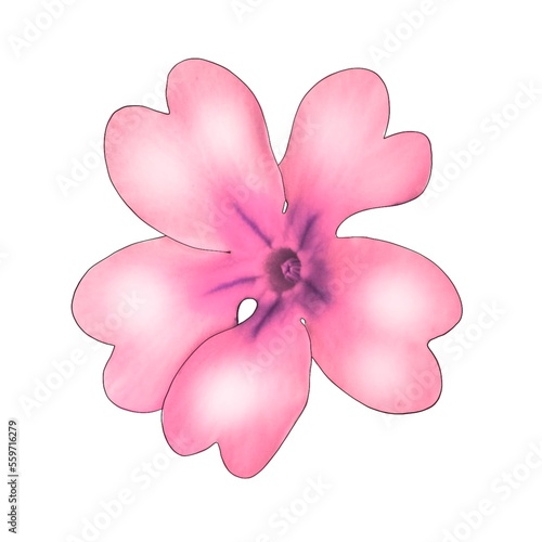 Pink Flower Hand Drawn Illustration