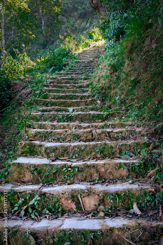 An old overgrown quarry stone staircase leads up the jungle.