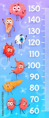 Kids height chart cartoon human organ characters Vector scale with funny ear, stomach, kidney, heart and pancreas, brain or eyeball healthy anatomical personages. Grow meter for height measurement