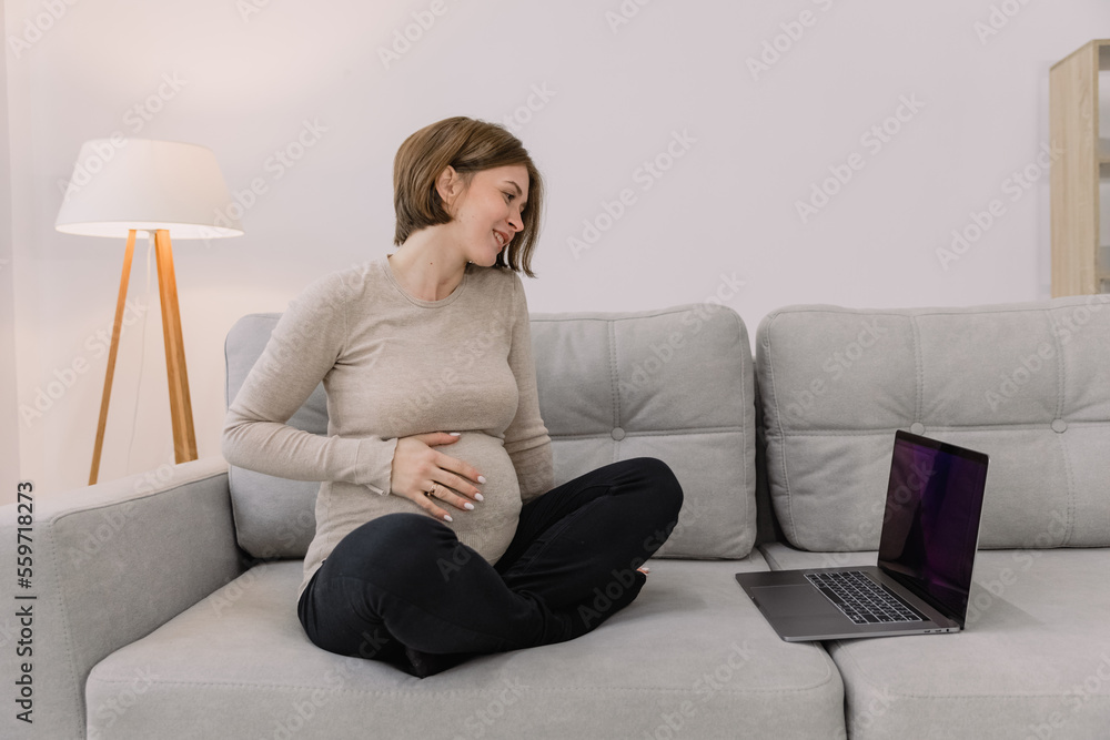 Portrait of happy pregnant woman sitting on sofa and working on laptop in living room Portrait of happy pregnant woman sitting on sofa and working on laptop in living room