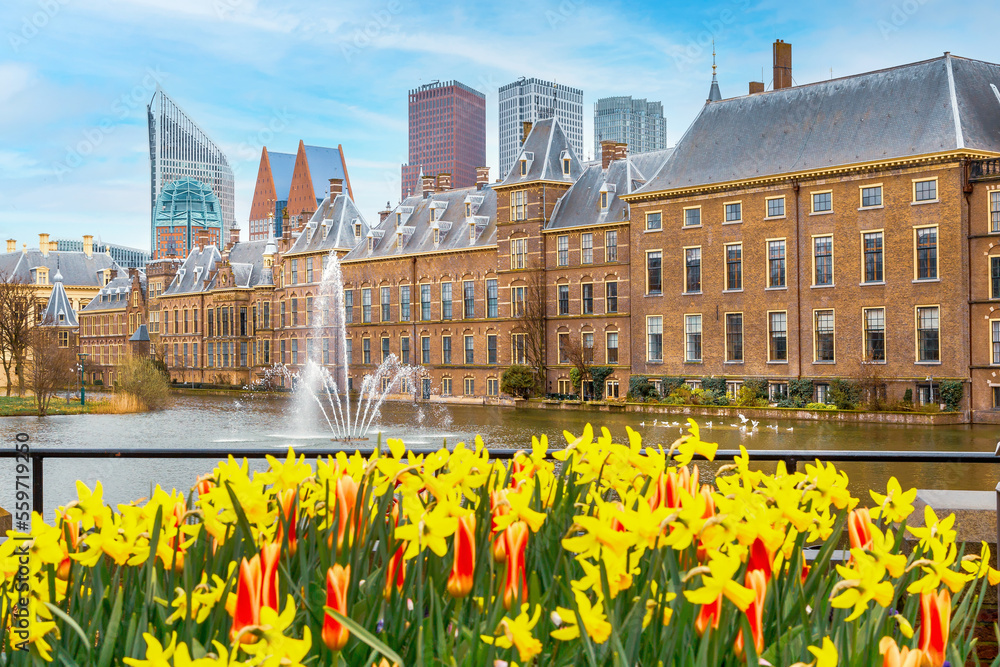 Hague, Netherlands modern skyscrapers, tulip flowers, Binnenhof parliament and Hofvijver lake fountain