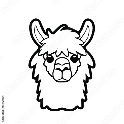 Cute Alpaca