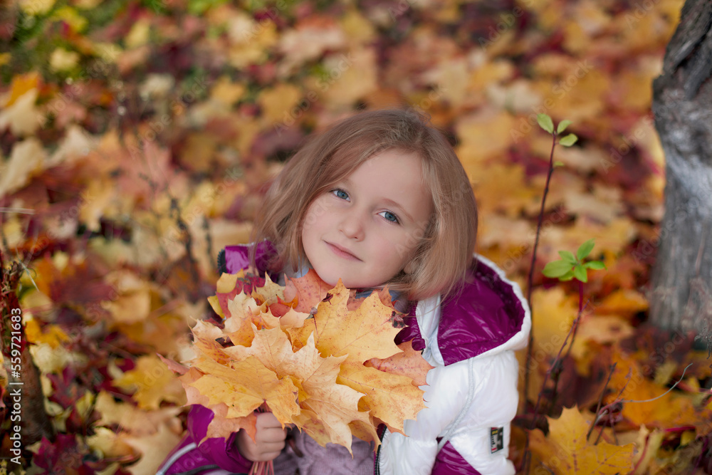little girl on a background of yellow and red leaves. autumn. leisure little girl on a background of yellow and red leaves. autumn. leisure
