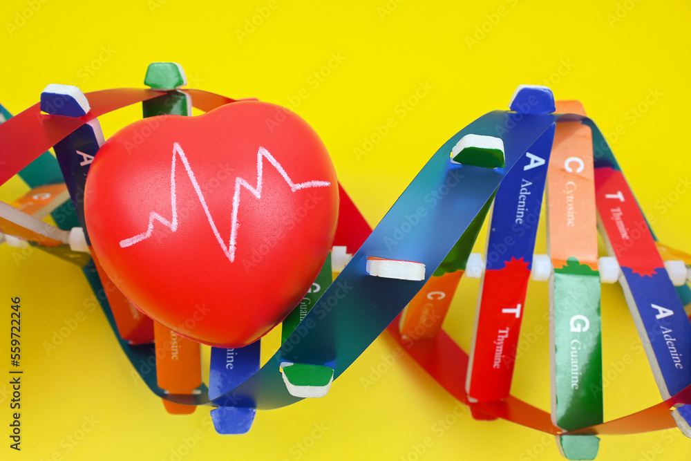 DNA helix structure and heart. DNA, Genetics and cardiovascular disease ...