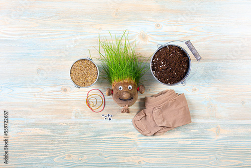 Making of cute homemade grass head toy with various supply tools. Grass seeds, tights, eyes, rubber band and soil. Lot of copy space on blue wood pattern background. Make grasshead. photo