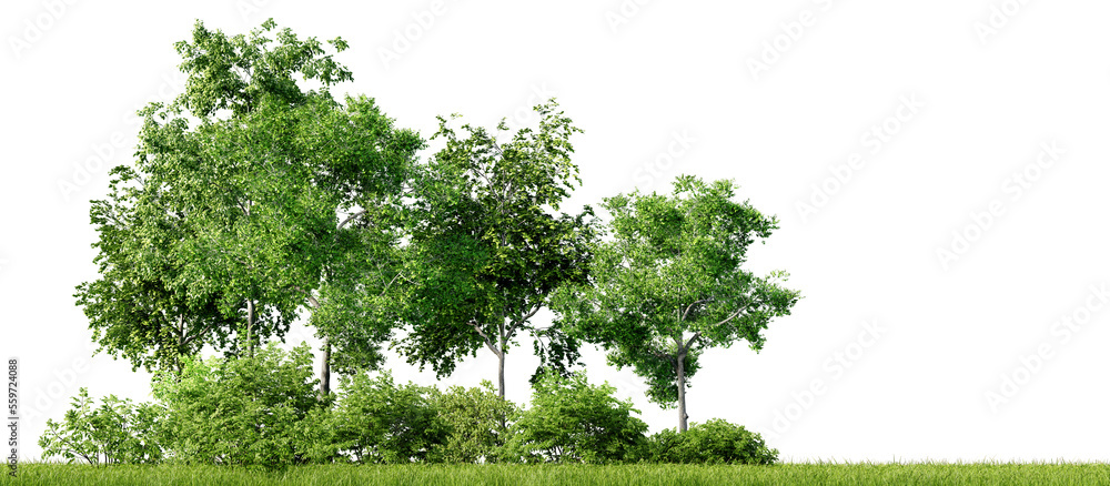 Green trees, shrubs and meadow isolated on transparent background. Forest or park design element. Realistic 3D render, 3D illustration. - obrazy, fototapety, plakaty 