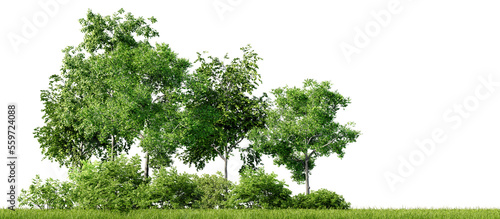Photographie Green trees, shrubs and meadow isolated on transparent background
