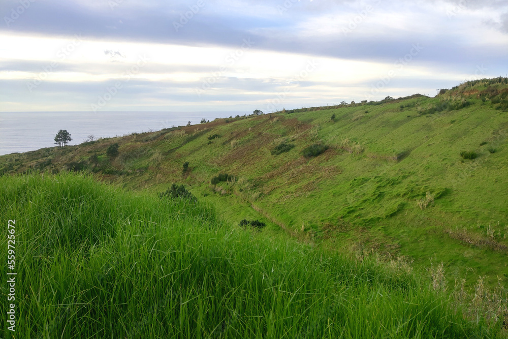 The green slopes of the mountains of the island of Madeira in the Atlantic Ocean.