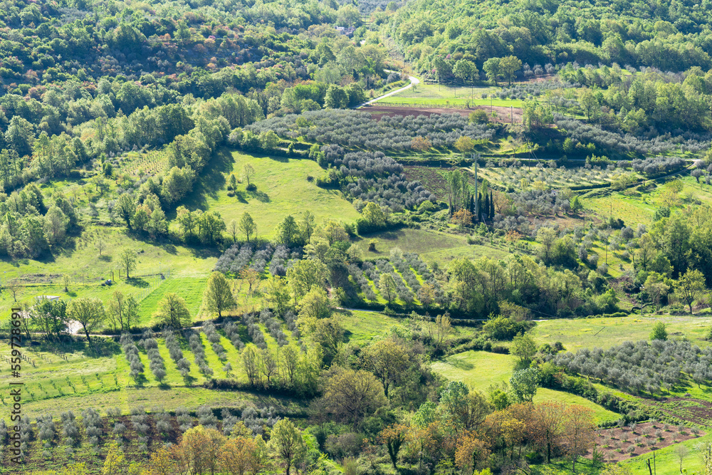 A panoramic view of the Caserta province in Italy, showing the green farmland and the hills.
