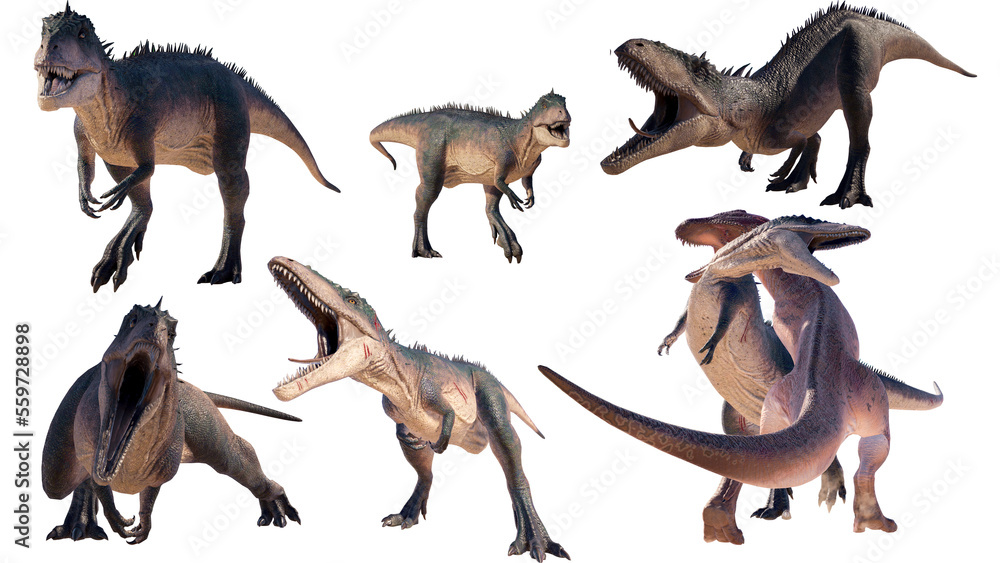 Fototapeta premium set Carcharodontosaurus dinosaur isolated on blank background PNG ultra high resolution