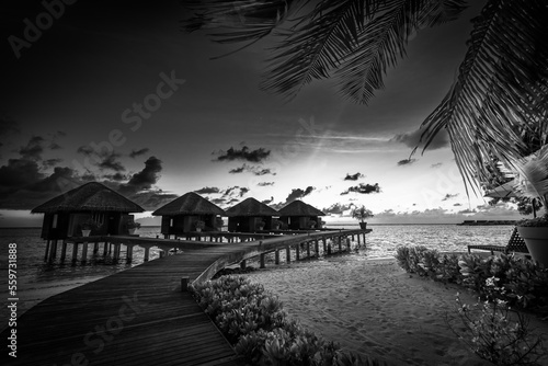 Fototapeta Naklejka Na Ścianę i Meble -  Black and white wooden bridge into paradise island. Tropical coast landscape, palm trees white sand exotic lagoon sea bay in dramatic monochrome. Tranquil travel background, minimal dark toned style