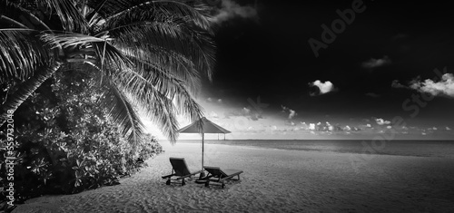 Fototapeta Naklejka Na Ścianę i Meble -  Black and white view of beautiful beach with palm tree leaves, dramatic dark sky white soft sand. Exotic monochrome panorama. Couple meditation inspiration landscape, paradise beach tranquil minimal