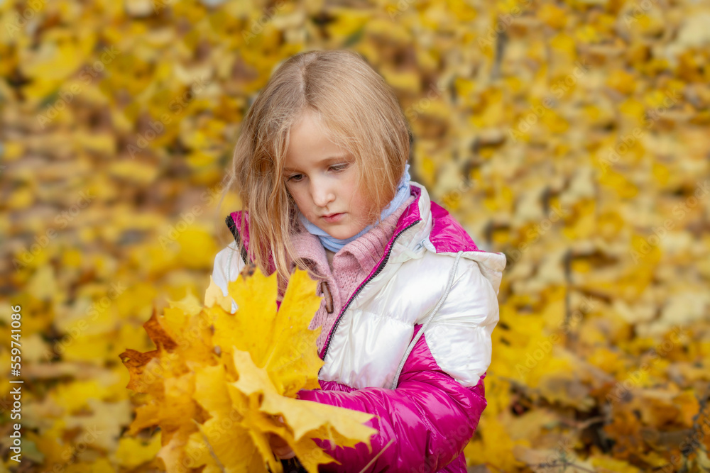 little girl on a background of yellow and red leaves. autumn. leisure little girl on a background of yellow and red leaves. autumn. leisure