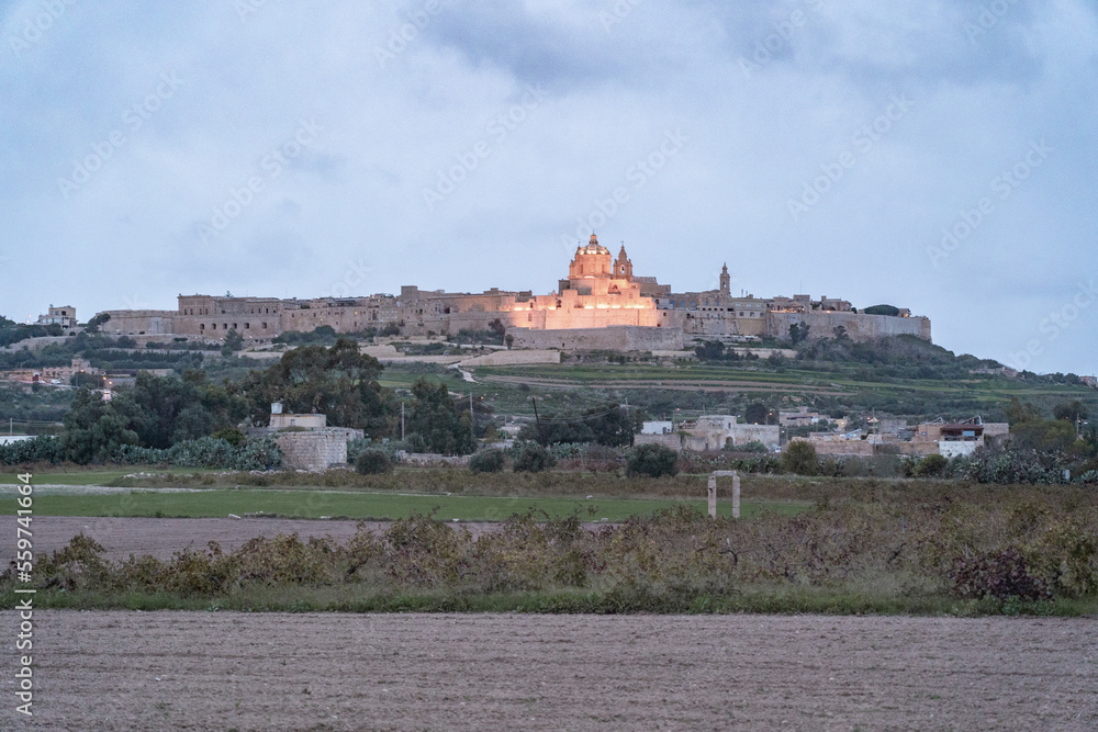 Evening view over Mdina in Malta. 