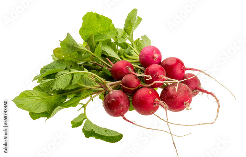 Fresh radish