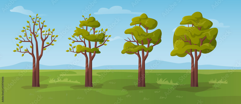 Blooming tree during spring season, a blossom of leaves and green foliage. Summer meadow with grass and clear sky. Nature revival. Vector in flat style