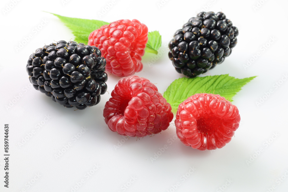 maliny i jeżyny, raspberries and blackberries on a white background - obrazy, fototapety, plakaty 
