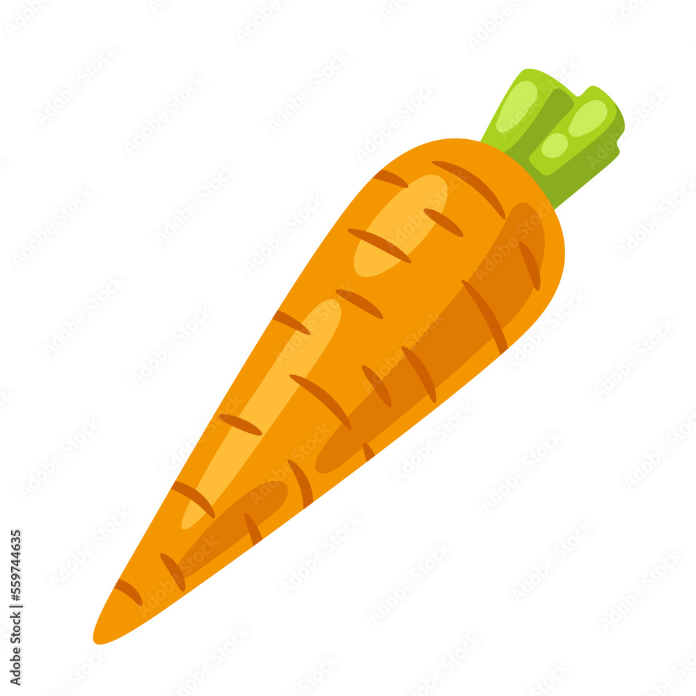 Illustration of carrot. Image for gastronomy and agricultural industries. Illustration of carrot. Image for gastronomy and agricultural industries.