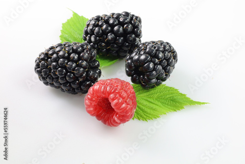 maliny i jeżyny, raspberries and blackberries on a white background