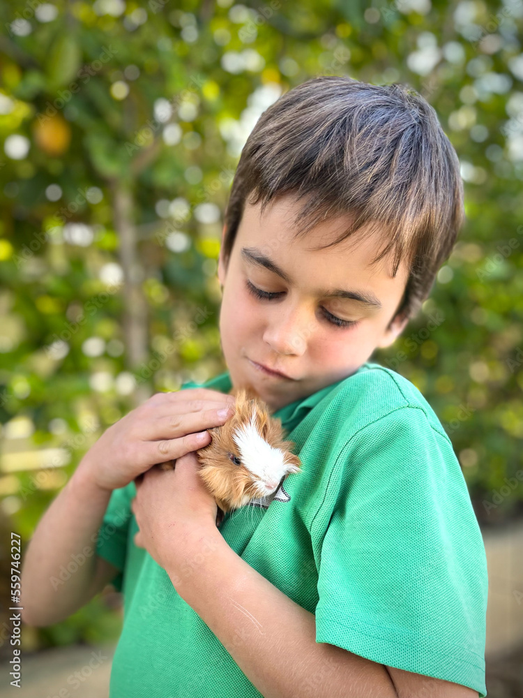 Young boy holding guinea pig affectionately Young boy holding guinea pig affectionately