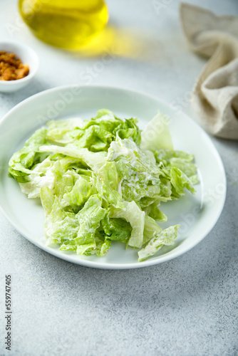 Healthy leaf salad with yogurt dressing