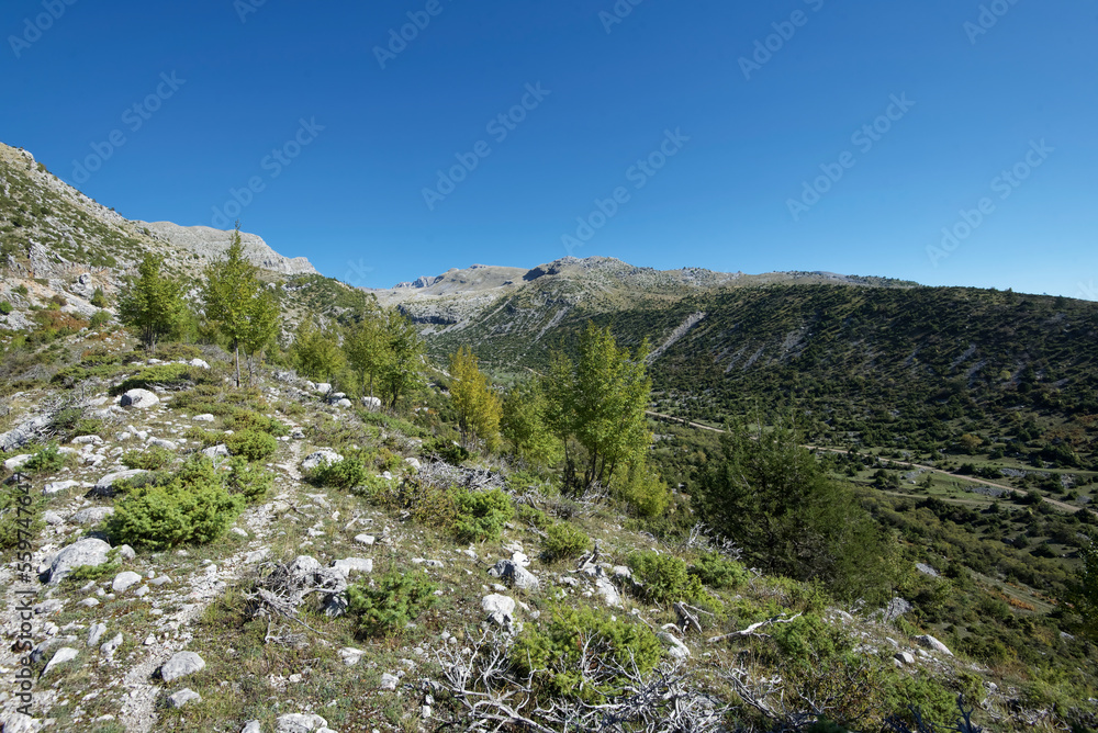 Griechenland - Zagori - Tsepelovo - Umland - Wanderweg Griechenland - Zagori - Tsepelovo - Umland - Wanderweg