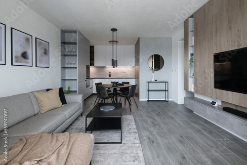 Interior of modern apartment - living room connected to kitchen