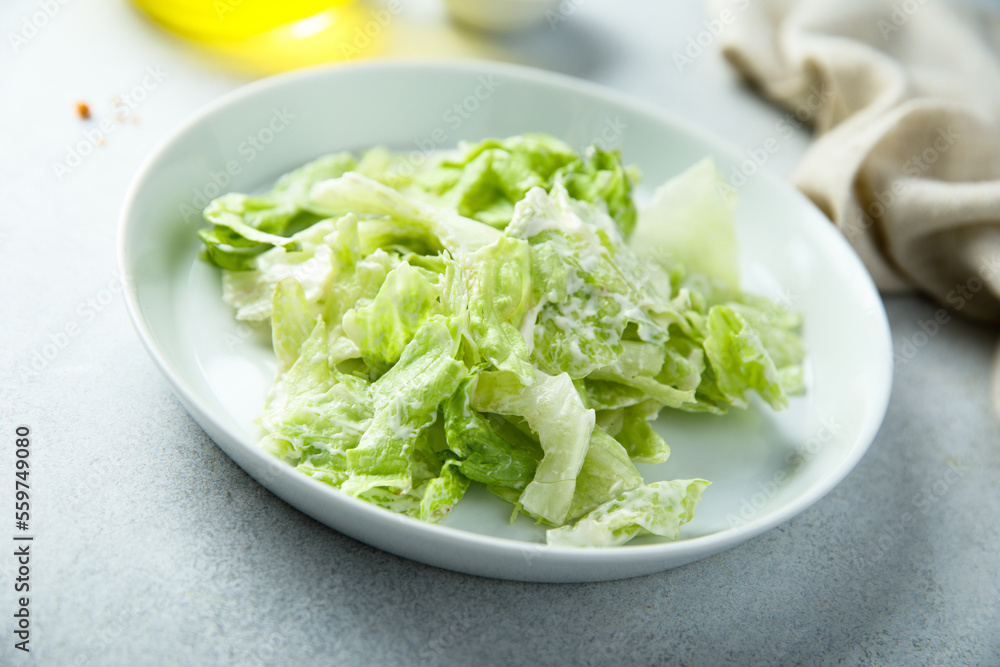 Healthy leaf salad with yogurt dressing Healthy leaf salad with yogurt dressing