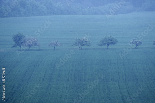 Field, France photo