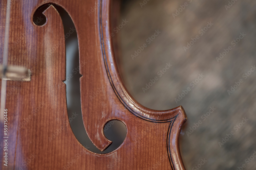 Close-up of violin on table