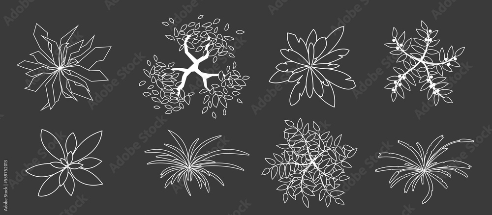 Trees and plants top view. Kit of elements for design projects isolated on dark background. Uncolored grass and tree set for architectural, landscape design. Black white graphic illustration. Vector
