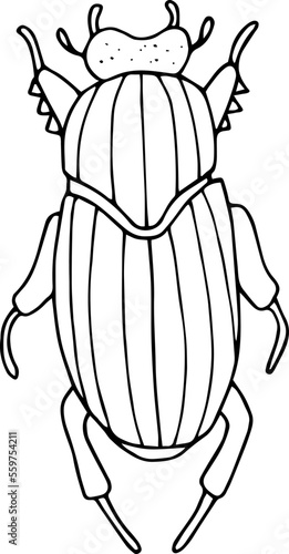 Hand drawn beetle icon in doodle style. Vector children's illustration for coloring. 