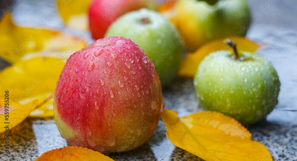 Water drops on an apple lying on the ground Water drops on an apple lying on the ground