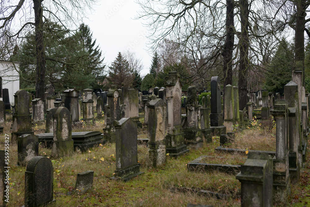 Fototapeta premium alter verlassener Friedhof