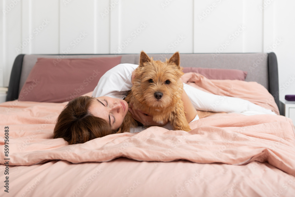 Young and beautiful woman lying in the bed and hugging her adorable pet dog. Perfect friendship concept Young and beautiful woman lying in the bed and hugging her adorable pet dog. Perfect friendship concept