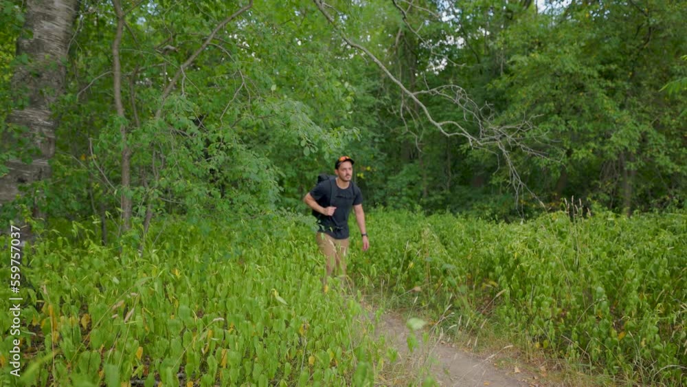 modern male hiker in summer emerges from forest and walks down trail towards camera modern male hiker in summer emerges from forest and walks down trail towards camera