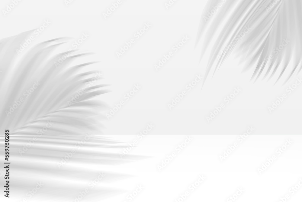 Obraz premium White background with natural shadows with light from the window.