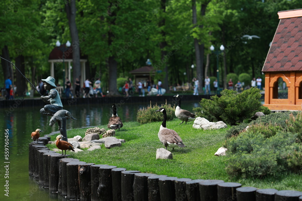 Fototapeta premium green well-groomed beautiful park near the lake