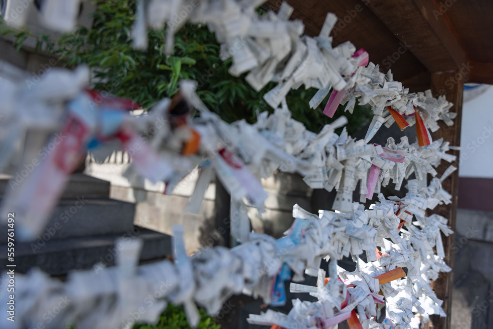 A fortune telling slip at Tomioka Shrine closeup A fortune telling slip at Tomioka Shrine closeup
