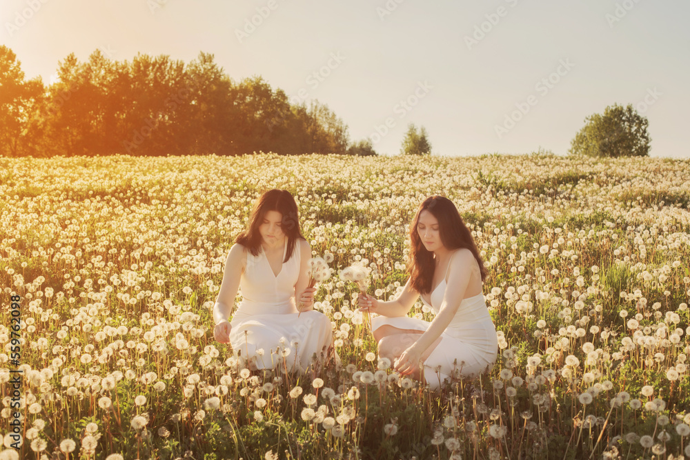 two young beautiful girls on meadow with dandelions at sunset two young beautiful girls on meadow with dandelions at sunset