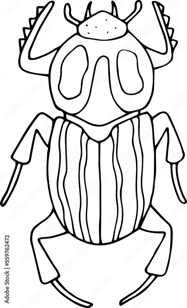 Hand drawn beetle icon in doodle style. Vector children's illustration for coloring.
Hand drawn beetle icon in doodle style. Vector children's illustration for coloring.