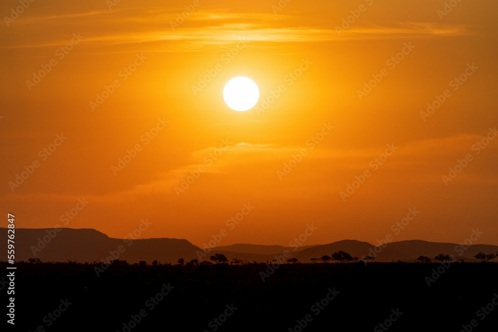 View of Kruger National Park sunset golden hour, South Africa View of Kruger National Park sunset golden hour, South Africa