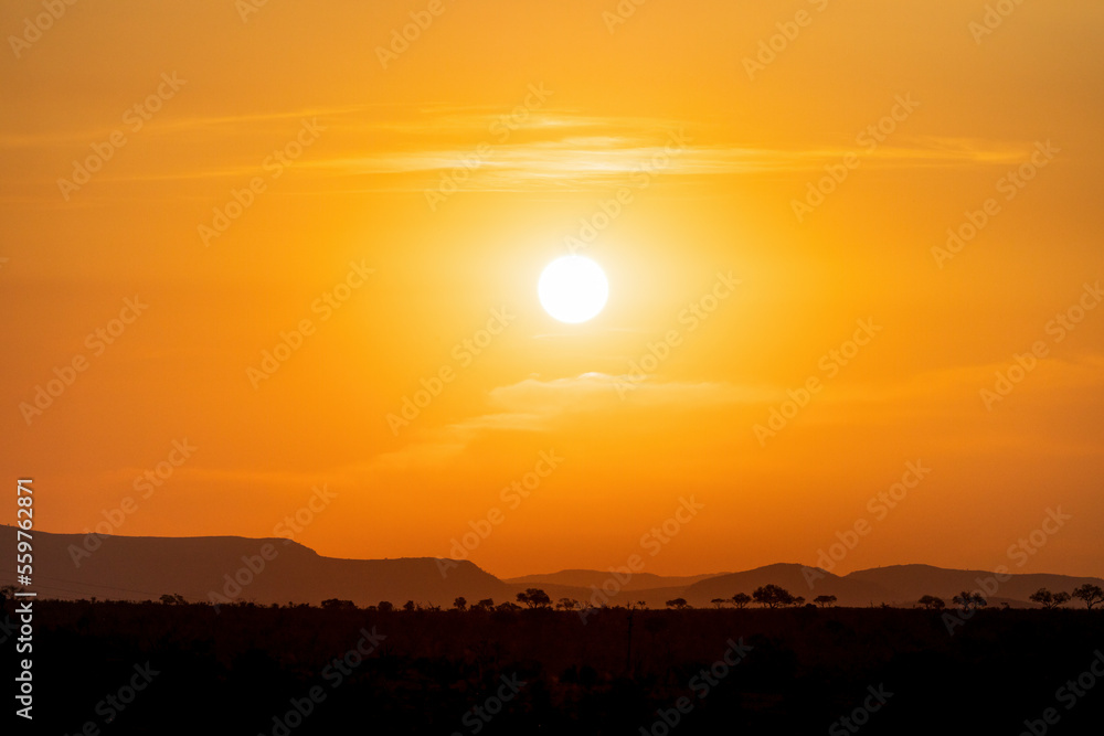 View of Kruger National Park sunset golden hour, South Africa View of Kruger National Park sunset golden hour, South Africa