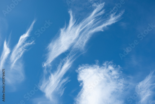 Blue sky - cirrocumulus and altocumulus clouds in winter