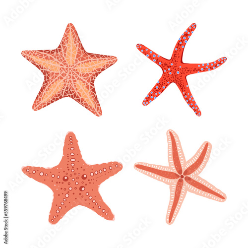 Hand drawn colorful starfish set