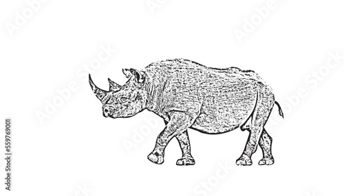 Vector rhino silhouette side view for logo  vintage design Isolated on white background.Vector illustration of a silhouette of a standing rhinoceros detail side view rhinoceros