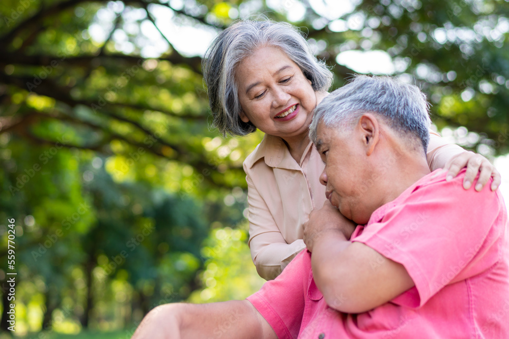 Senior couple in the park and wife taking care of a husband in a wheelchair a patient with paralysis, with his wife comforting and encouraging each other. Retirement health insurance concept. Senior couple in the park and wife taking care of a husband in a wheelchair a patient with paralysis, with his wife comforting and encouraging each other. Retirement health insurance concept.