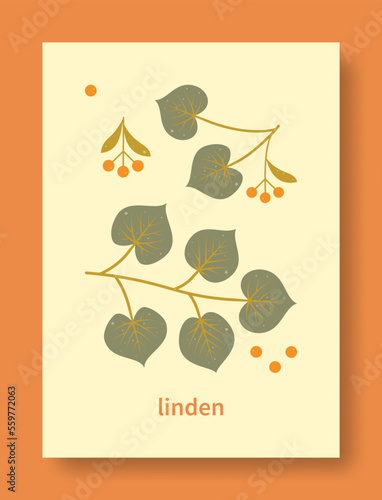 Vector illustration abstract still life of linden branch and linden fetus in pastel colors. Isolated collection of contemporary art.