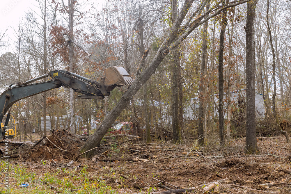 On construction site, tractor skid steers were used to clear uprooted trees from land so that subdivision of housing development could be completed. On construction site, tractor skid steers were used to clear uprooted trees from land so that subdivision of housing development could be completed.