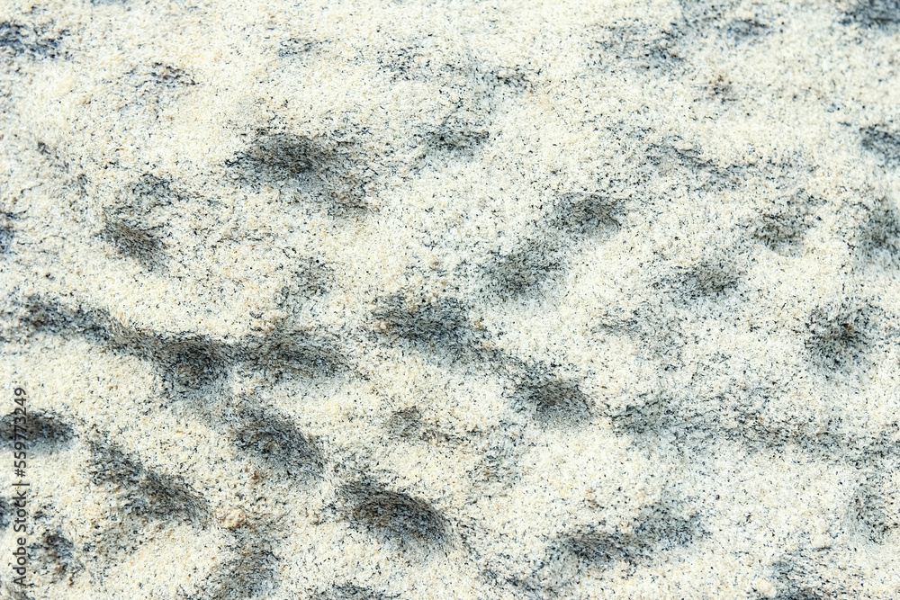 Obraz premium beautiful stones on nature by the sea background